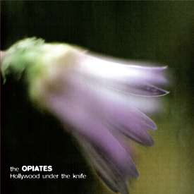 <h5>Wolfgang Tillmans. <em>Untitled</em>, (2006). Photograph. On cover of The Opiates CD <em>Hollywood under the knife</em>, (2011).</h5><br>